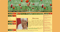 Desktop Screenshot of chantalfeugnet.com